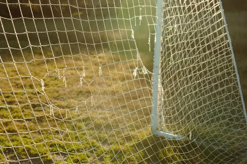World Cup 2026 - bóng đá