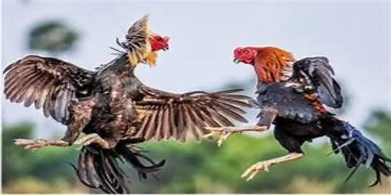 lịch đa ga hom nay